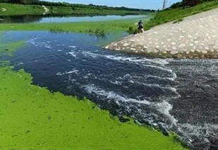 面對黑臭水體治理難題，都有哪些應(yīng)用不錯的處理工藝？