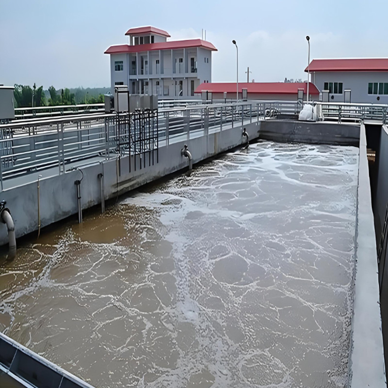 天然渾水的沉降可分為哪些？