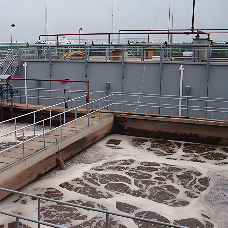 培菌注意事項(xiàng)有哪些？