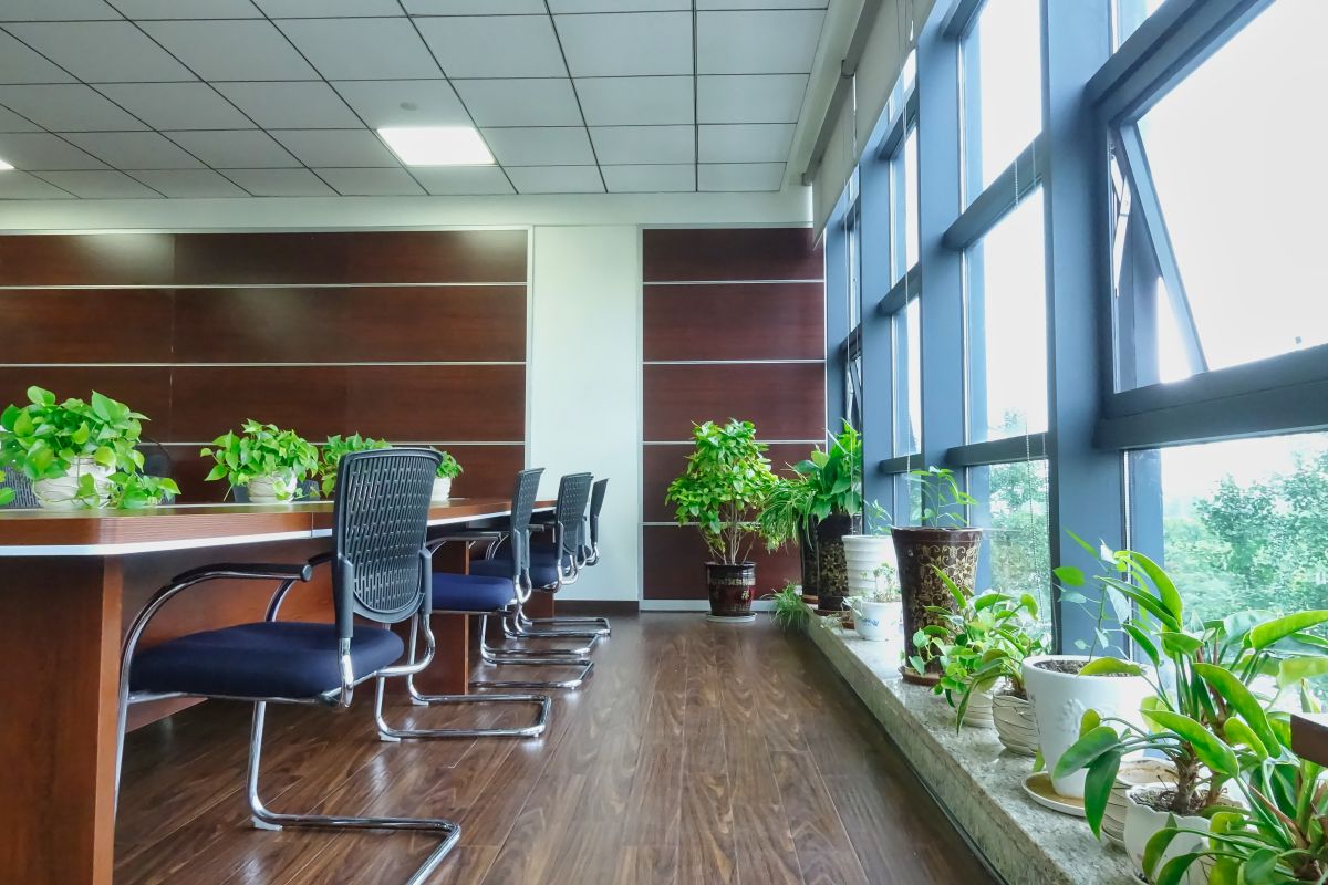 這才叫綠色環(huán)保，四川博水環(huán)保辦公室盛夏綠意